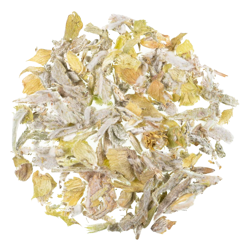 Kruiden infusie Greek Mountain Herbs