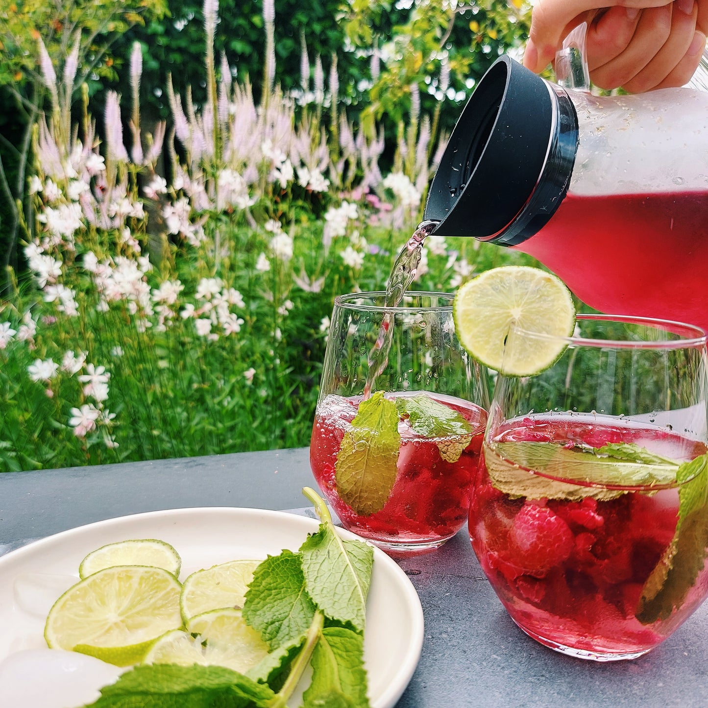 Kruiden infusie Raspberry Mint