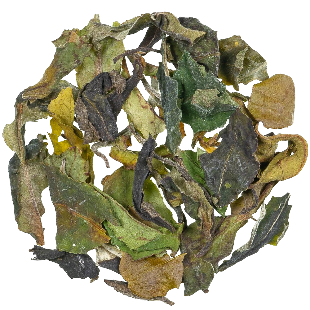 Witte thee China - Pai Mu Tan Special