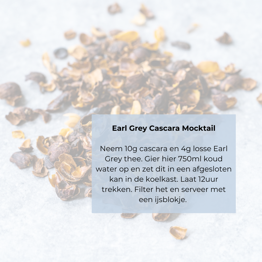 Specialty Infusion Costa Rica - Cascara