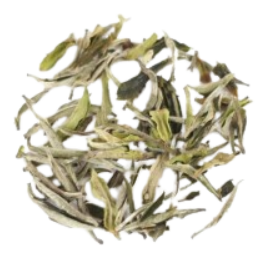 Witte thee Nepal - First Flush Sakhejung Delight