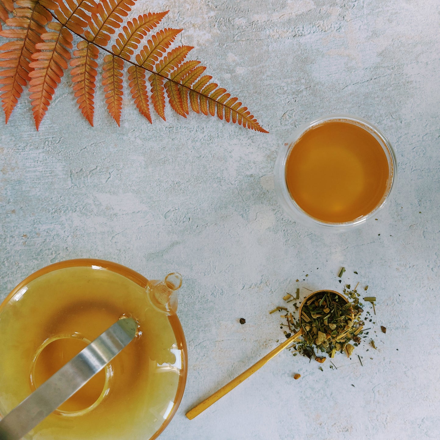 Kruiden infusie Golden Glow