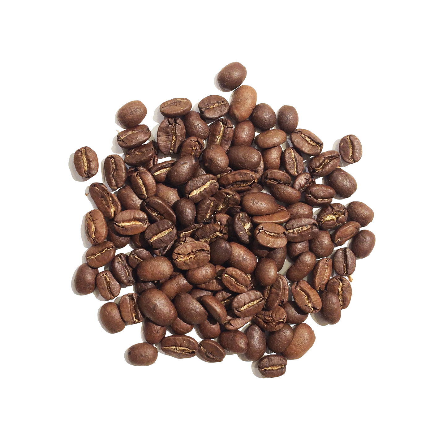 Koffie Nicaragua - Maragogype